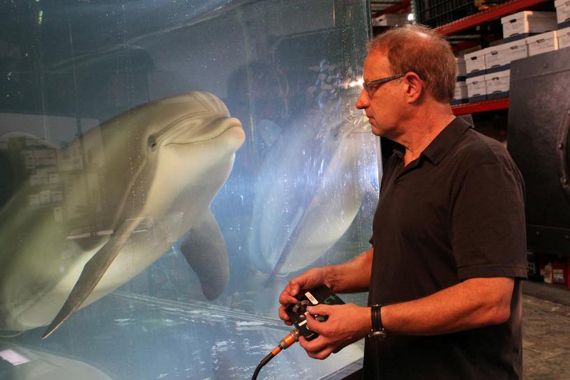 walt conti founder and ceo of edge innovations uses a handheld controller to move an animatronic dolphin in a tank at the company s warehouse in fremont california us september 30 2020 picture taken september 30 2020 photo reuters